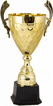Купить Кубок 2012